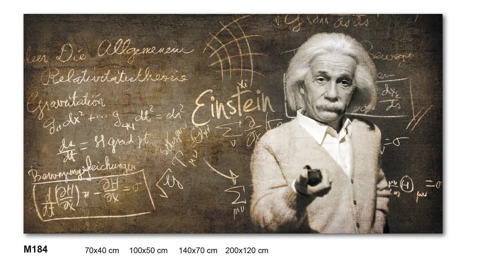 Wall Artwork Albert Einstein Print On Canvas 100x50 M184tel100x50