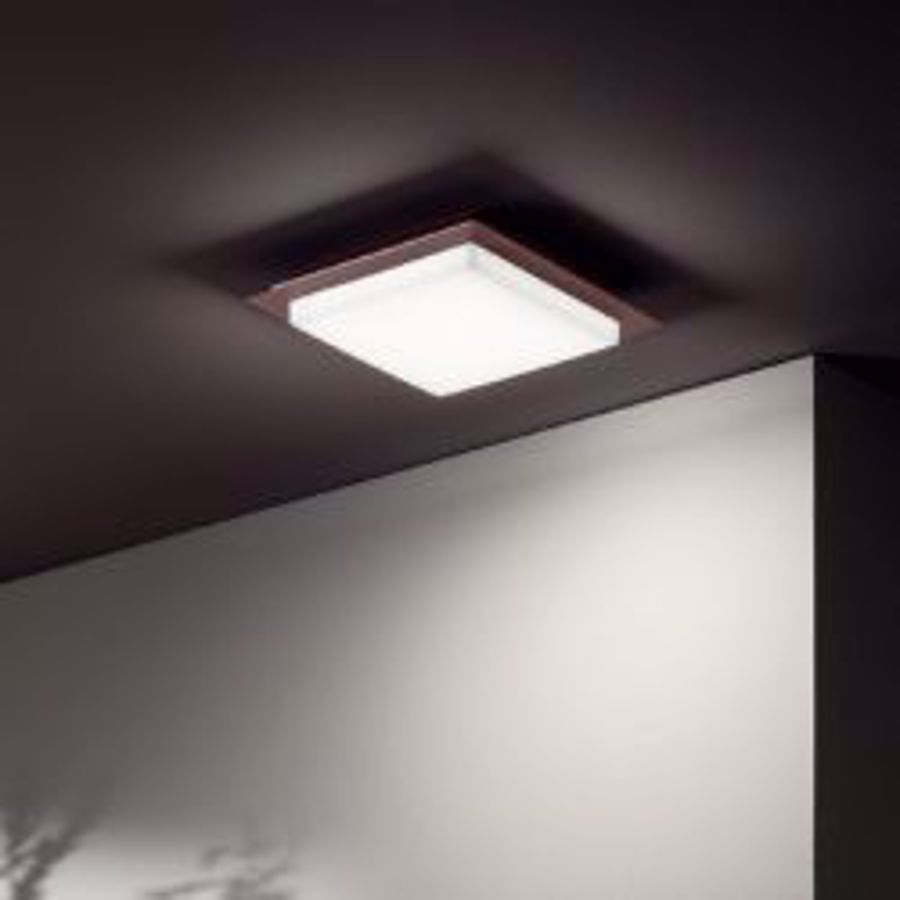 Picture for category Outdoor ceiling-mounted lights