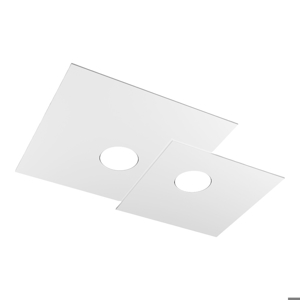 Top light plate ceiling lamp led 2 lights